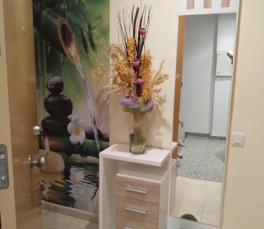 Sant Carles de la Rapita Apartment | Apartamento San Carlos de la Rápita