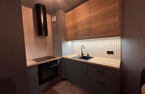 Wilda Apartment | Apartament Bergera Olive Hill-2 pokoje