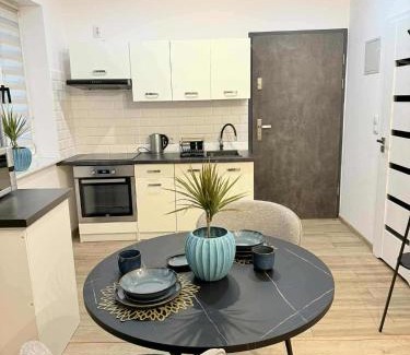 Zywiec Apartment | Apartament Bracka 23