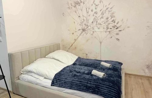 Zywiec Apartment | Apartament Bracka 23