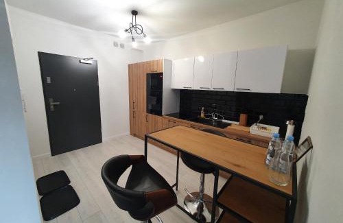 Leszno Apartment | Apartament Business & Parking Sienkiewicza