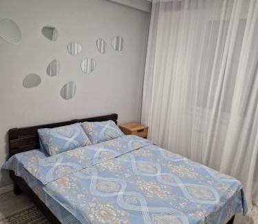 Riscani Apartment | Apartament cu 2 camere!