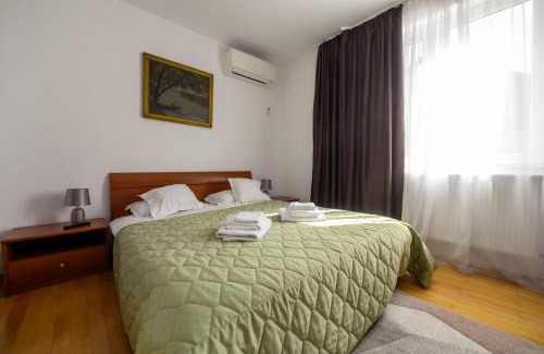 Baia Mare Apartment | Apartament Family Rivulus 9