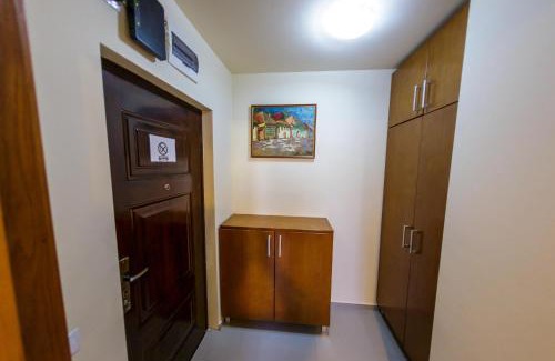 Baia Mare Apartment | Apartament Family Rivulus 8