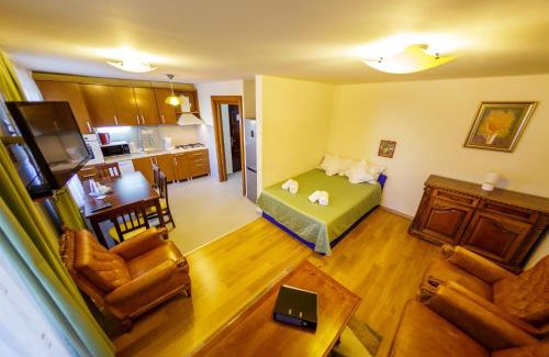 Baia Mare Apartment | Apartament Family Rivulus 8