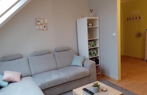 Mragowo Apartment | Apartament Kaktus