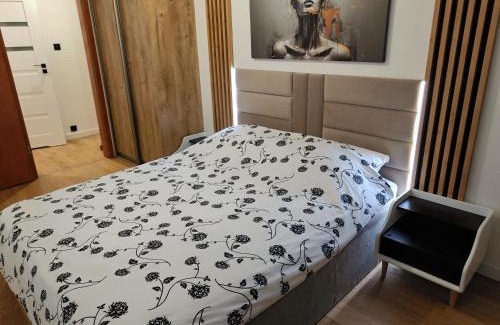 Torun Apartment | Apartament Loft