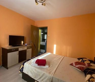 Orsova Apartment | Apartament Lore