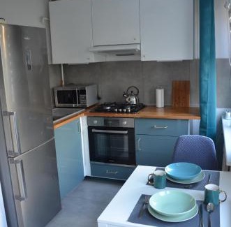 Olsztyn Apartment | Apartament Modry
