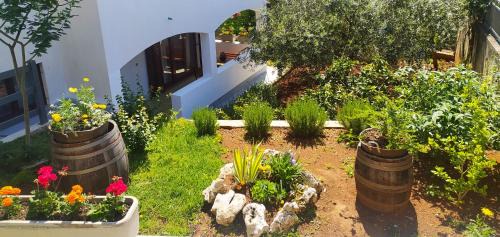 Vrsar Apartment | Apartament Oliva