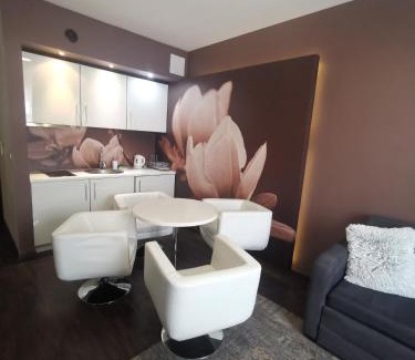Dzielnica Uzdrowiskowa Apartment | Apartament prywatny 2-pokojowy Diva Hotel