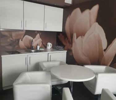 Dzielnica Uzdrowiskowa Apartment | Apartament prywatny 2-pokojowy Diva Hotel