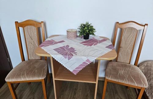 Chlapowo Apartment | Apartament Regina