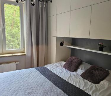 Torun Apartment | Apartament Rodzinny - całodobowe zakwaterowanie, bezpłatny parking