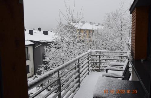 Wisla Apartment | Apartament Spokojny