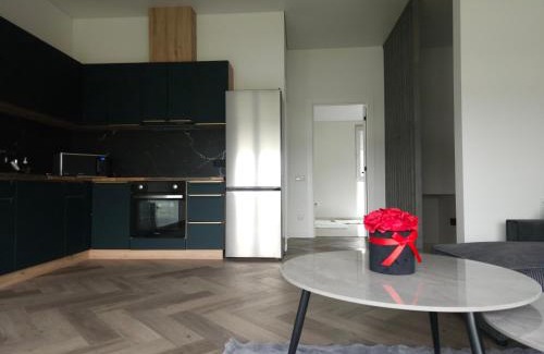 Klaipeda county Apartment | Apartamentai Prie Tvenkinio
