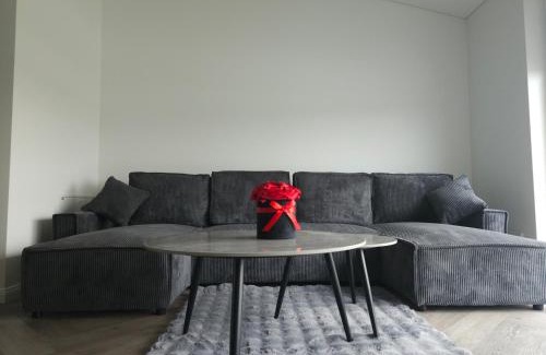 Klaipeda county Apartment | Apartamentai Prie Tvenkinio