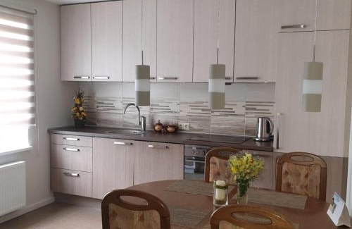 Birzgale Apartment | Apartamenti Danna