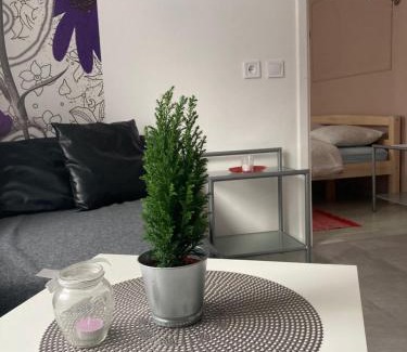 Cesis Apartment | Apartamenti