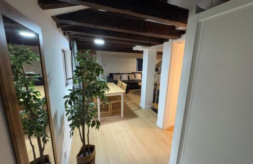 Centro Apartment | Apartamento para grupos y familias, SOL