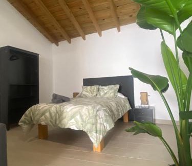 Algodonales Apartment | Apartamentos Algodonales