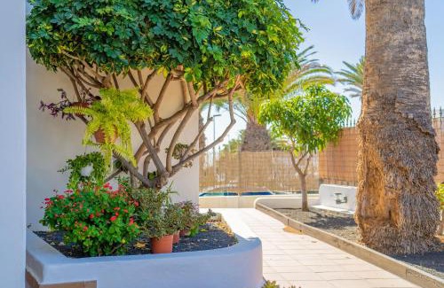 Puerto del Carmen Apartment | Apartamentos Isla de Lobos - Adults Only
