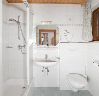 Schladming Apartment | ApartHotel Holzerhof