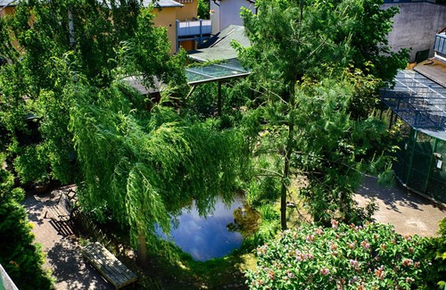 Seebad Bansin Apartment | Aparthotel Tropenhaus Bansin