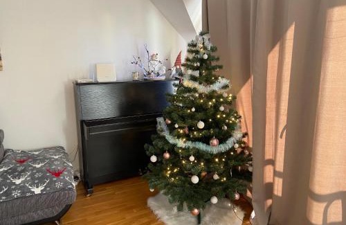 Tatranska Lomnica Apartment | Apartmán Juli
