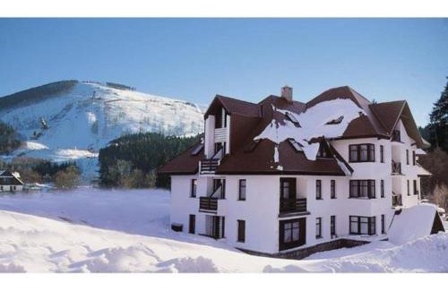 Harrachov Apartment | Apartmán SKOK