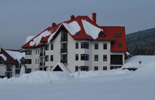 Harrachov Apartment | Apartmán SKOK