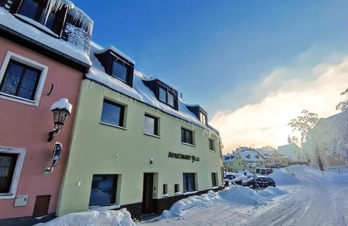 Bozi Dar Apartment | APARTMÁNY 91 Boží Dar
