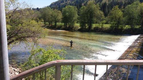 Bled House | Apartma Gracner
