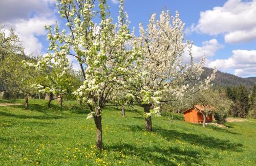 Mozirje House | Apartma Lesjak - pobeg v naravo 2