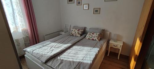 Zgornje Jezersko Apartment | Apartma Vila Kočna