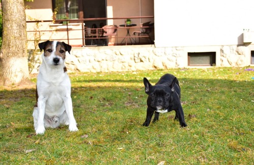 Bled Apartment | Apartmaji Koman, Bled - For 5 - Pet Friendly!