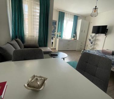 Banja Koviljaca Apartment | Apartman 14