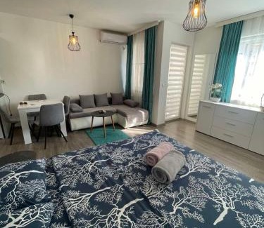 Banja Koviljaca Apartment | Apartman 14