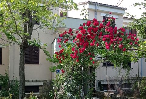 Cikovici Apartment | Apartman Adrijana Kastav, free WiFi & parking, 2 bedrooms & sea view