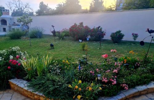 Galizana Apartment | Apartman Boro