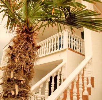 Vir Apartment | Apartman Bura