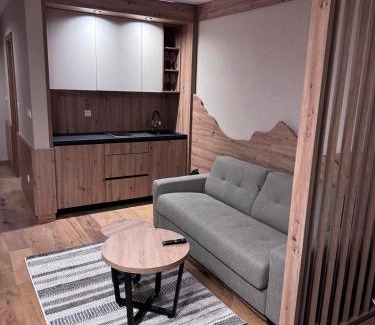 Jahorina Apartment | Apartman C234 Aparthotel Vučko Jahorina privatni apartman
