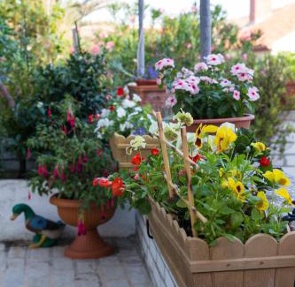 Cove Murtar Apartment | Apartman Dragica
