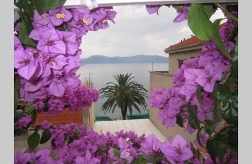 Gradac Apartment | Apartman Graciela Perfect location Gradac