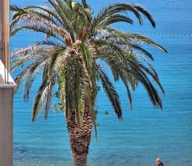 Gradac Apartment | Apartman Graciela Perfect location Gradac