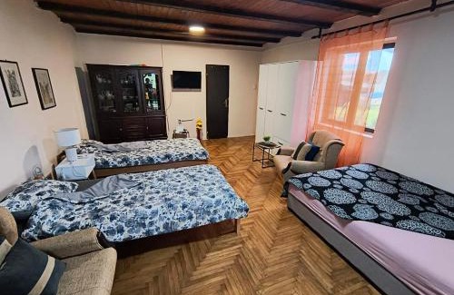Central Serbia Apartment | Apartman LANA i TARA