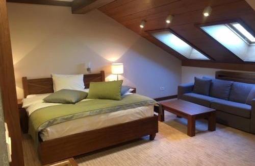 Jahorina Apartment | APARTMAN lux B614, Aparthotel Vučko, Jahorina, private host