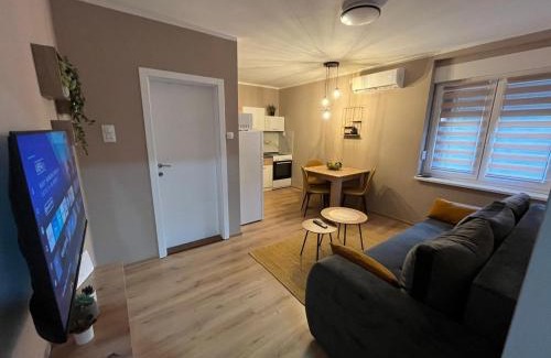 Stari Banovci Apartment | Apartman Momirov Titel