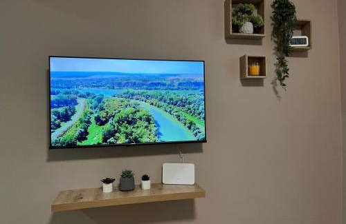 Stari Banovci Apartment | Apartman Momirov Titel
