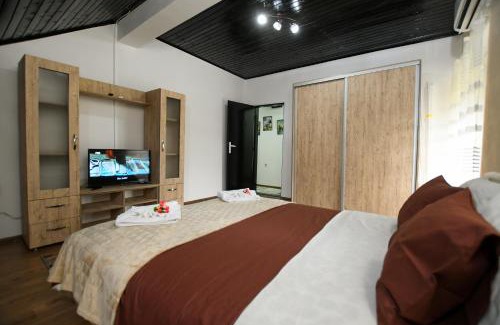 Central Serbia Apartment | Apartman Pejović